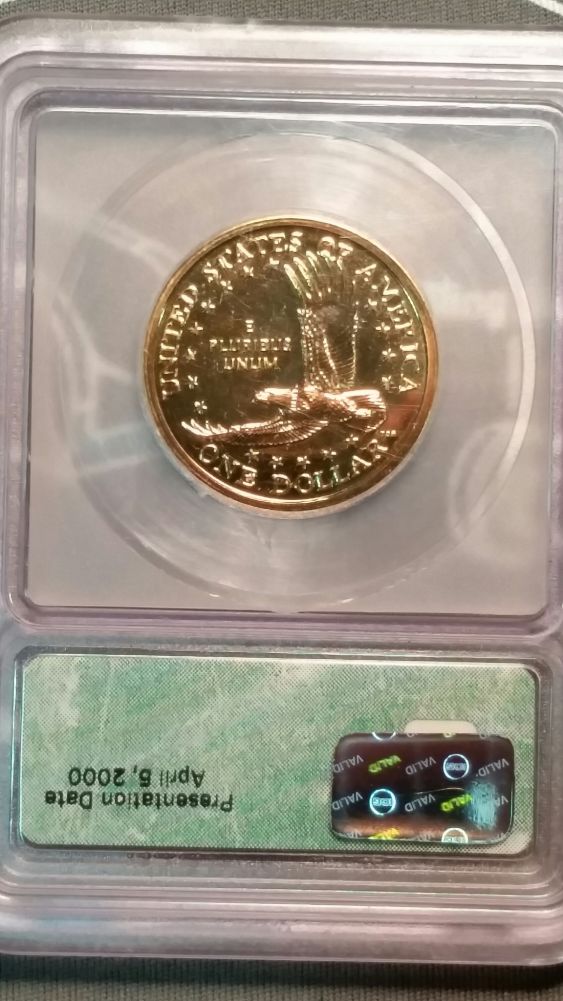 Sacagawea-Goodacre's-