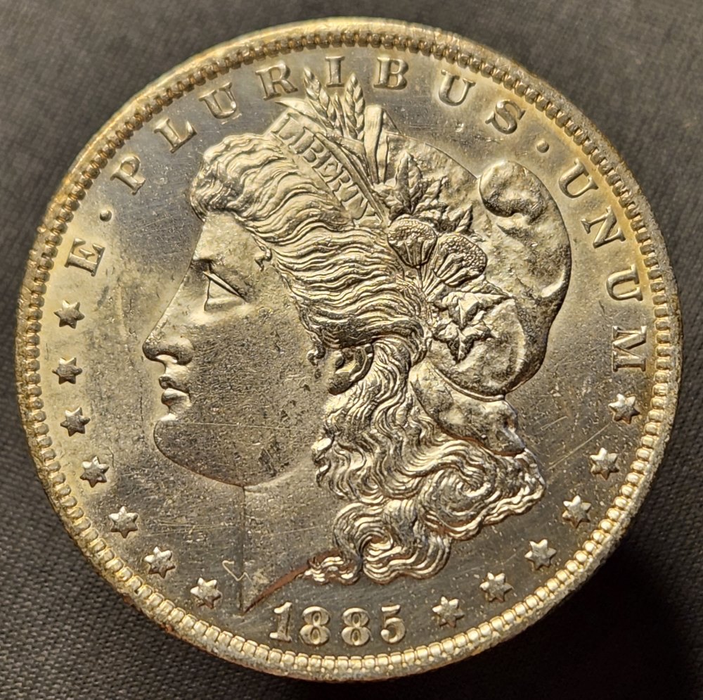 1885-O-Morgan-For-Grading-Opinion
