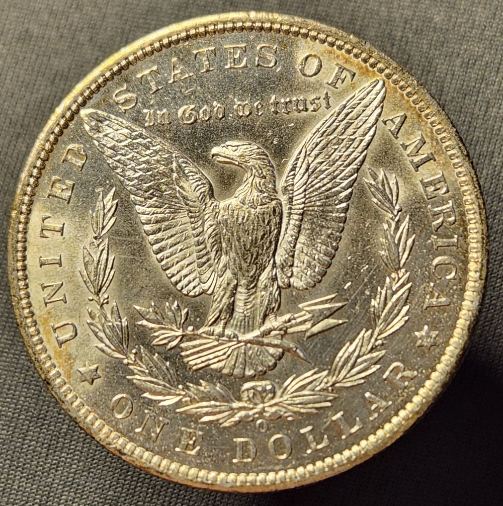 1885-O-Morgan-For-Grading-Opinion