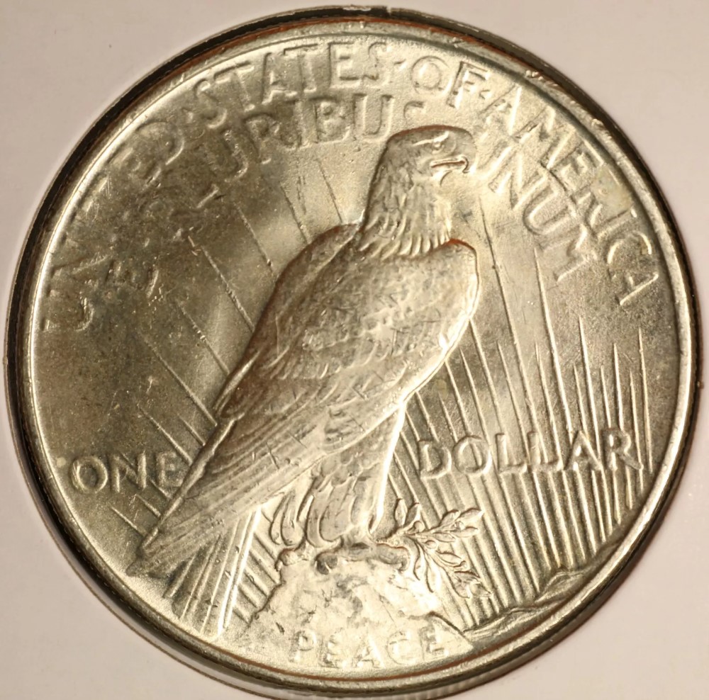 1922-P-VAM-2-P1-Chin-Bar-R6-Peace-Dollar