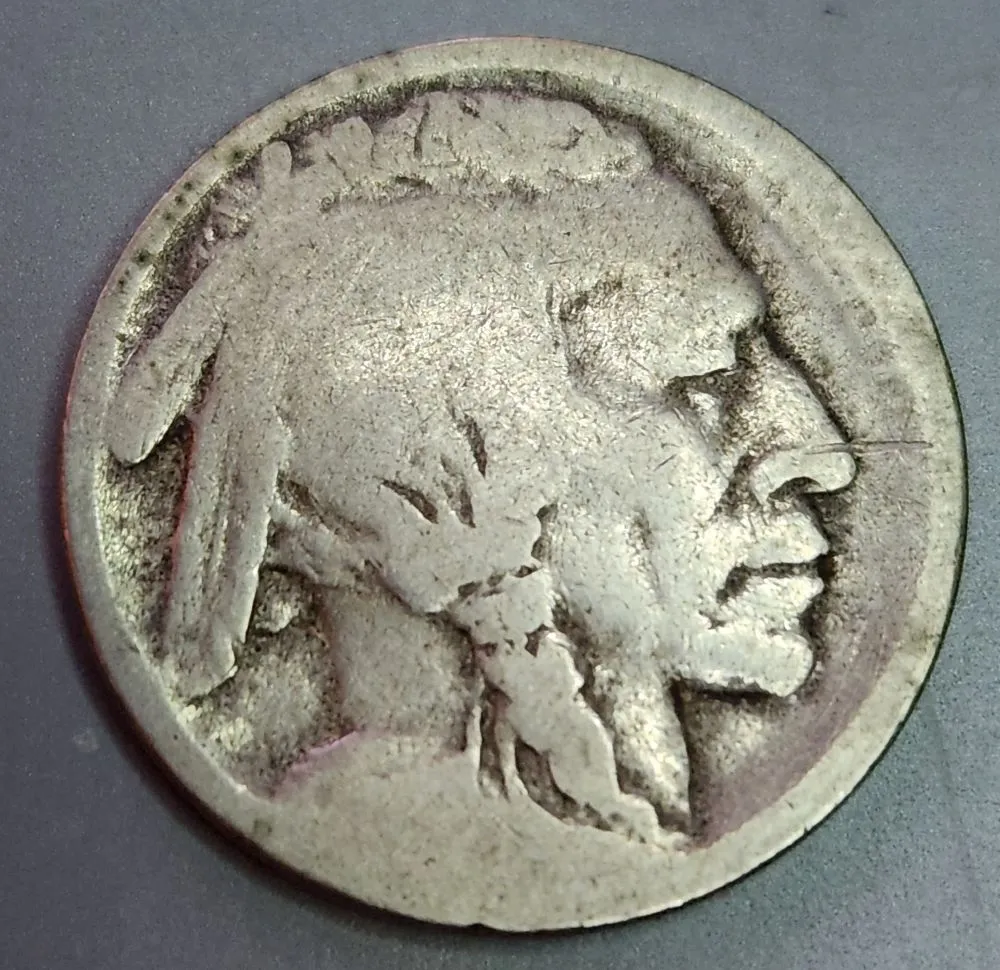 1913-S-Buffalo-Raised-Ground,-Thoughts?