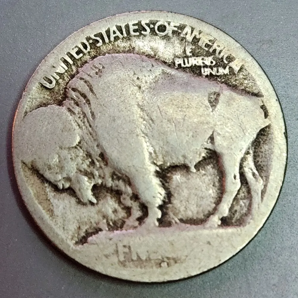 1913-S-Buffalo-Raised-Ground,-Thoughts?