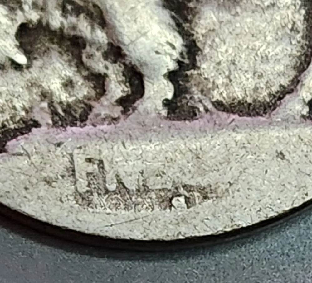 1913-S-Buffalo-Raised-Ground,-Thoughts?