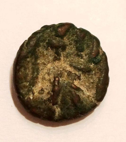 Help-Identify-Some-Greek-And-Indian