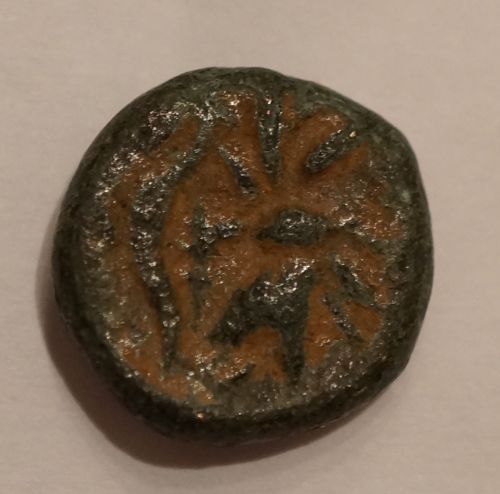 Help-Identify-Some-Greek-And-Indian