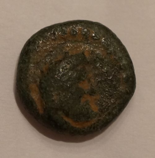 Help-Identify-Some-Greek-And-Indian