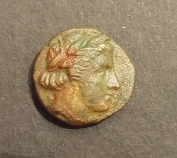 Four-Greeks!
