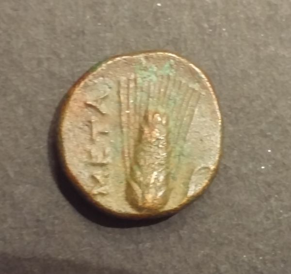 Four-Greeks!