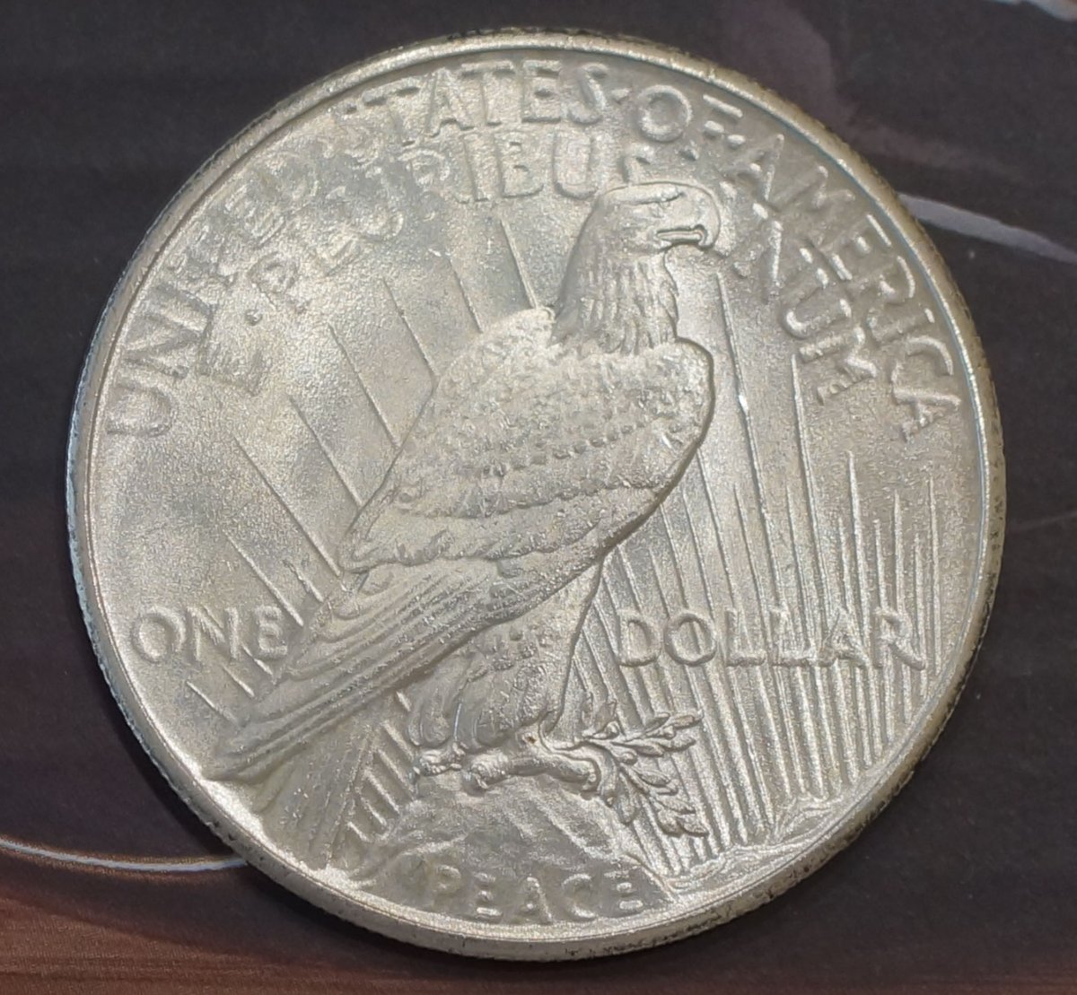 1926-Peace-Dollar---Grading-Opinions