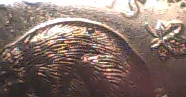 Die-Chip,-Blob-On-Beaver's-Back???