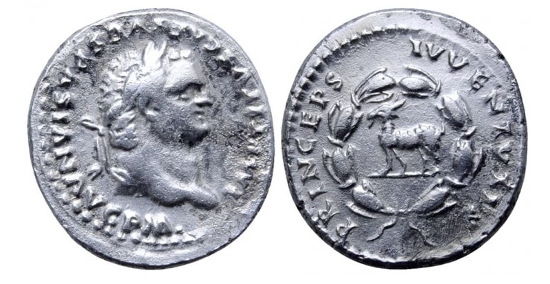 An-Interesting-Mule-Of-Titus