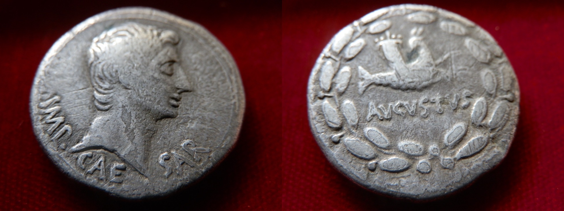 Just-Added-This-Augustus-Cistophorous