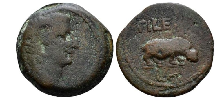 A-Tiberius-Plate-Coin-With-A-Hippo!