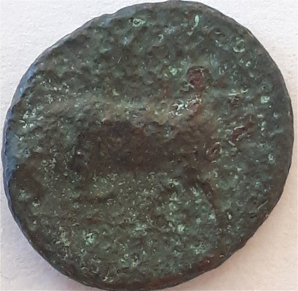Is-This-Coin-From--Carthage?