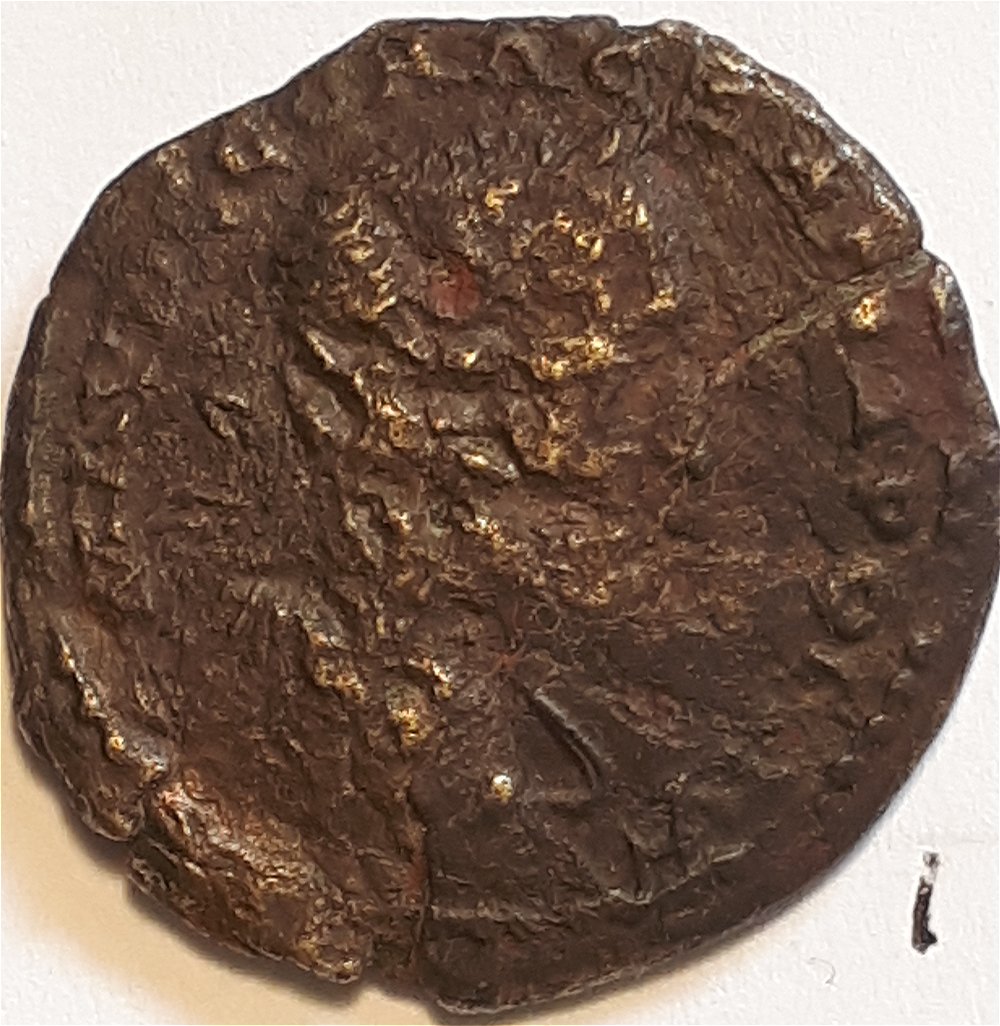 Unidentified-Roman?-#1