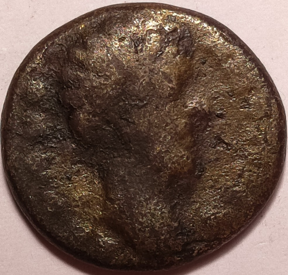 Unknown-Roman-Provincial-To-ID