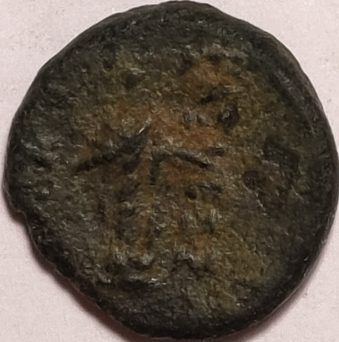 Extremely-Small-Ancient-To-ID