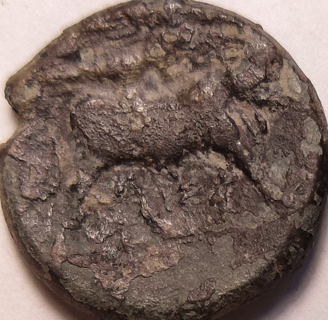 Greek-Coin-With-Bust-And-Lion/-Panther;-No-Letters