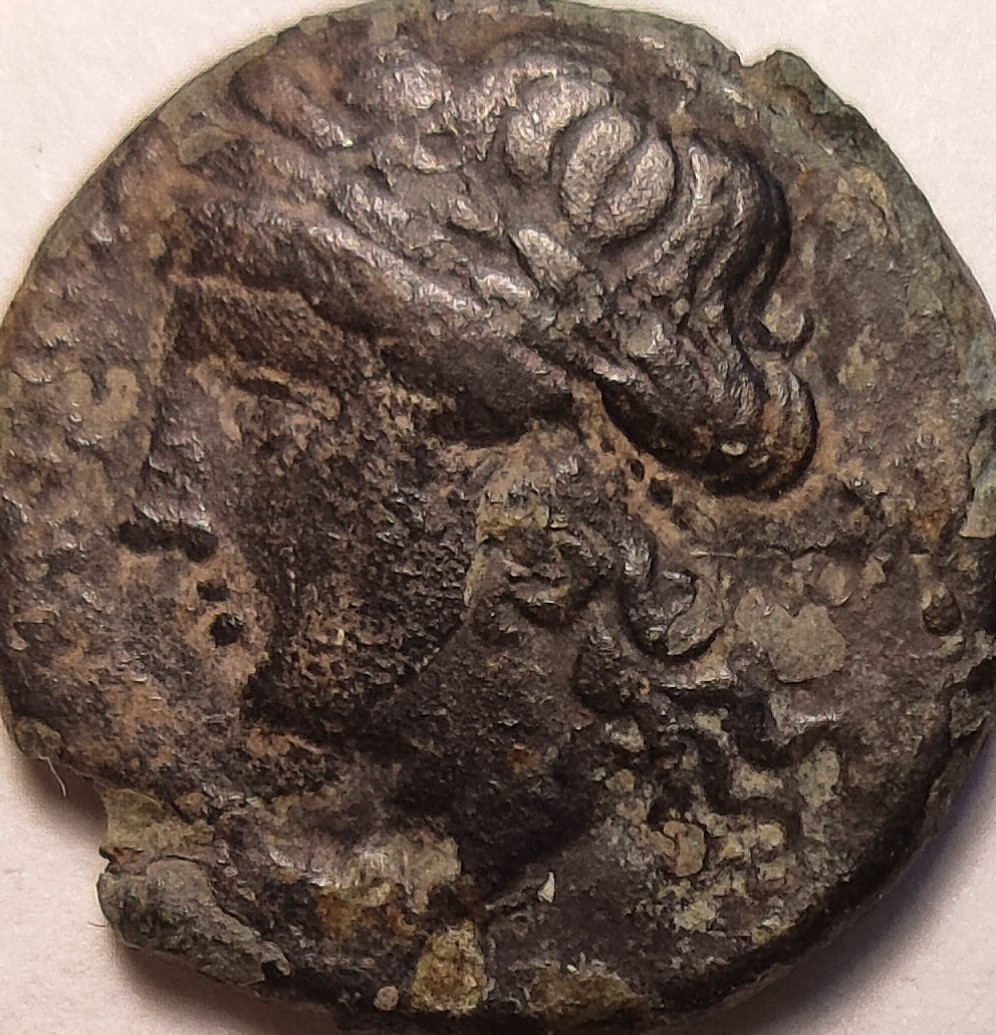 Greek-Coin-With-Bust-And-Lion/-Panther;-No-Letters