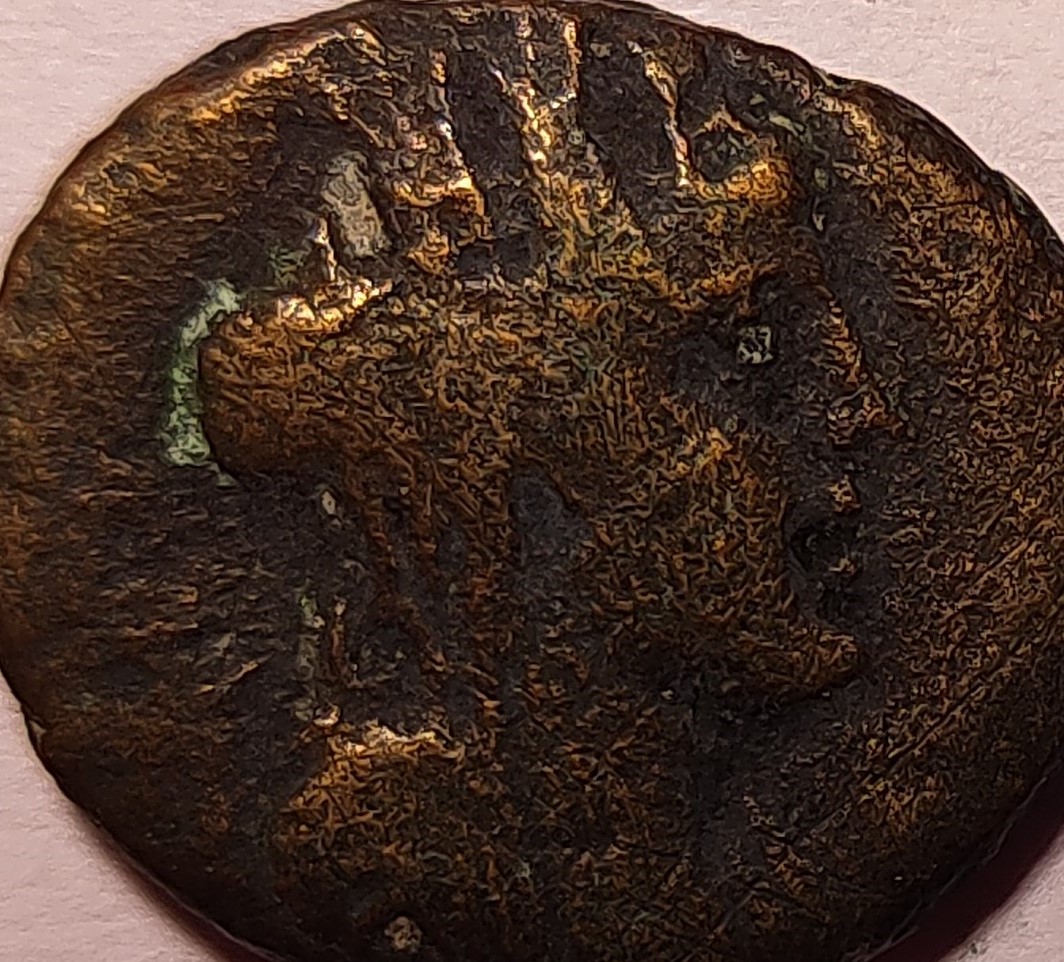 Possibly-Phoenician,-Looking-For-A-Positive-ID