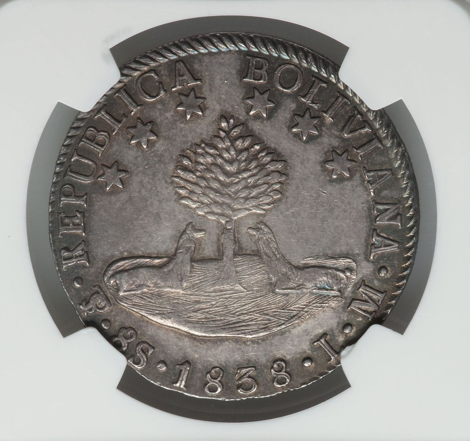 Continuing-List-To-Show-Everyones-Latest-Acquisitions