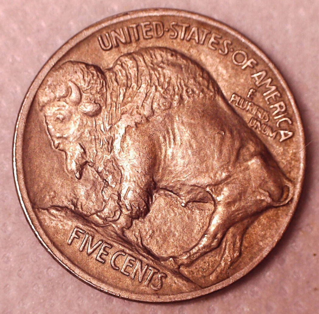 Pair-Of-Type-I-1913-Buffalos-For-Grading