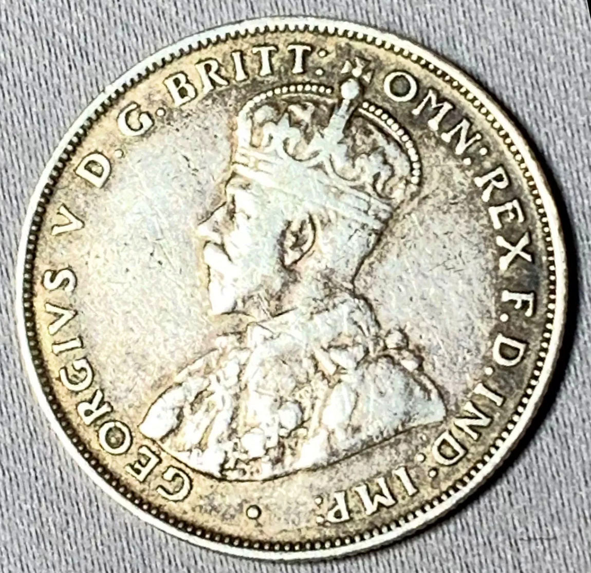 Continuing-List-To-Show-Everyones-Latest-Acquisitions