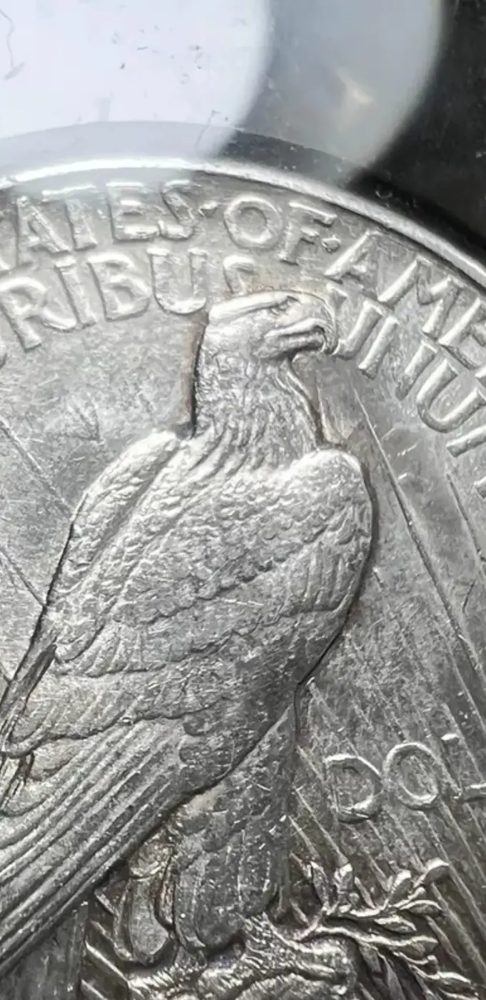 I-Need-Help-Grading-And-It-Has-Spikes-1921-Peace-Dollar