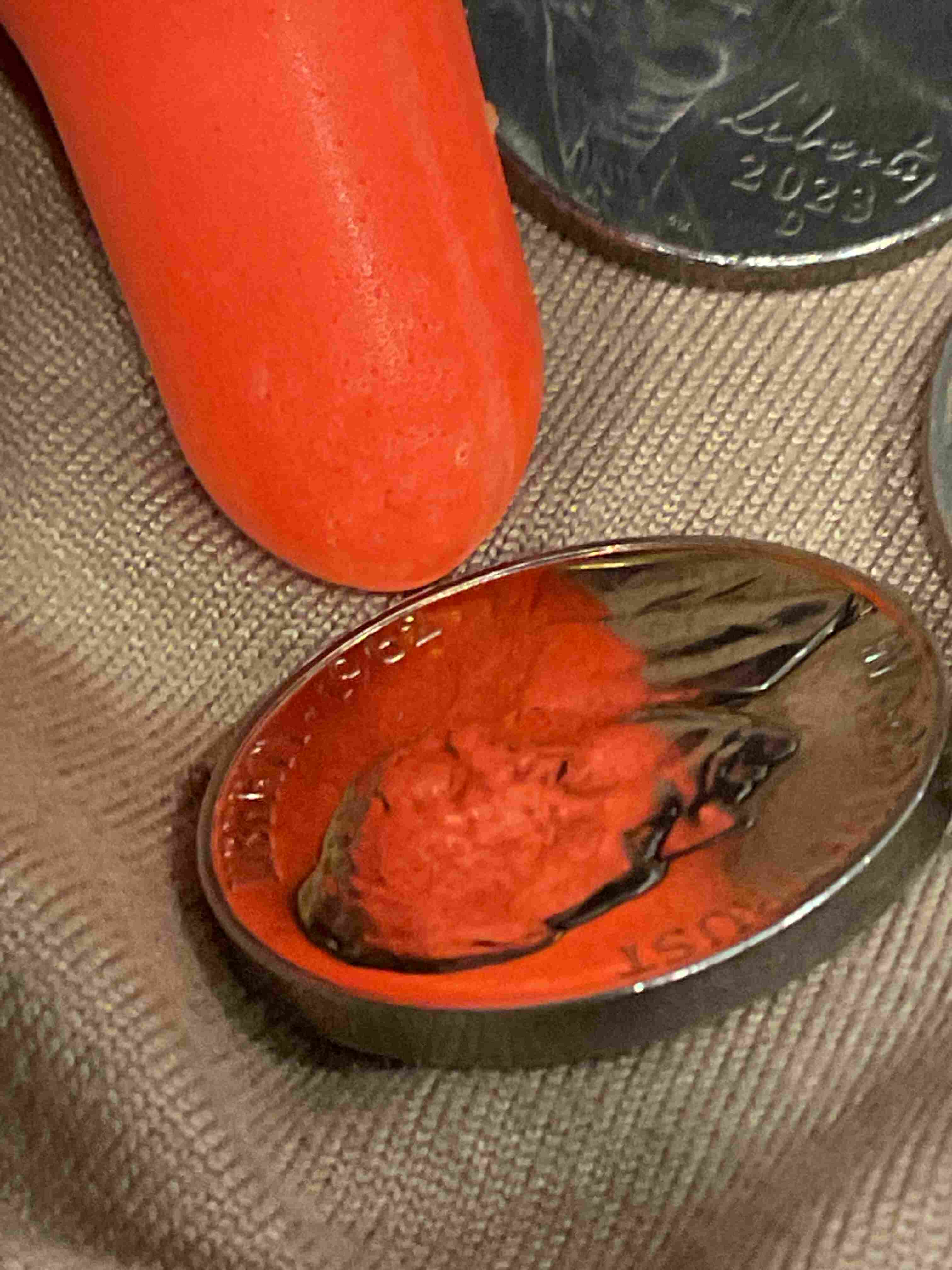 First-Submission---1962-Jefferson-Nickel-MS?-Full-Steps-Proof-Like-Candidate---Need-Expert-Eyes