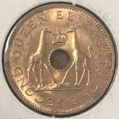 Post-Your-Coins-Representing-The-Animal-Kingdom.
