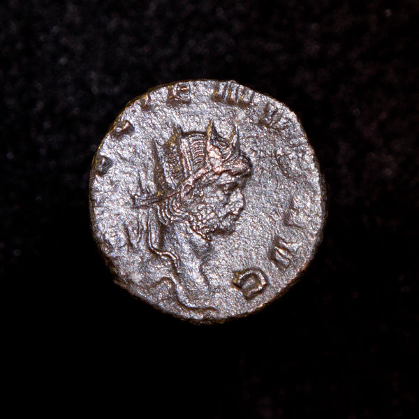 Gallienus'-Zoo-Coins