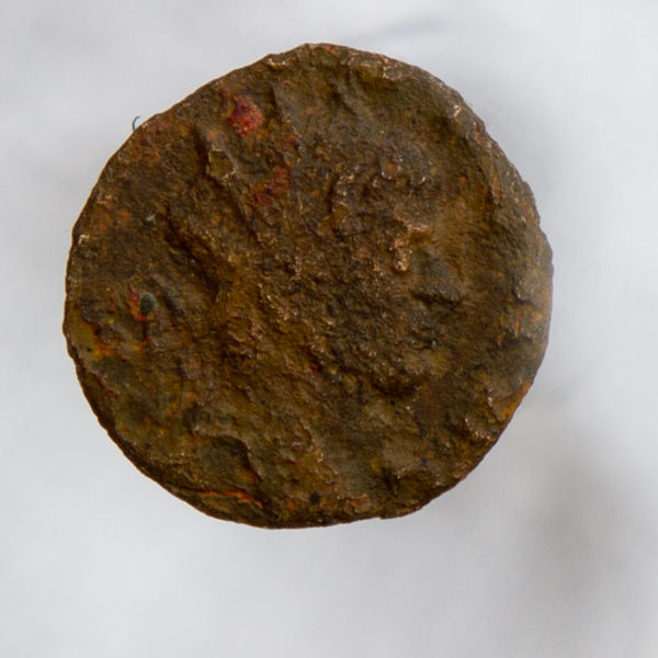 Gallienus'-Zoo-Coins
