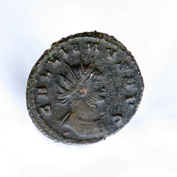 Gallienus'-Zoo