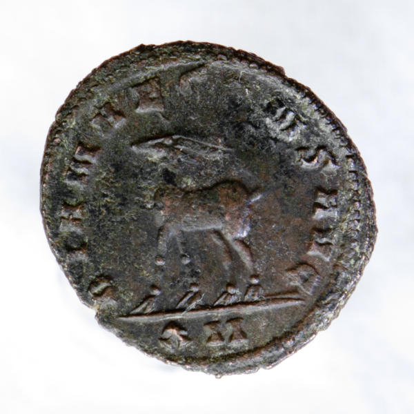 Gallienus'-Zoo