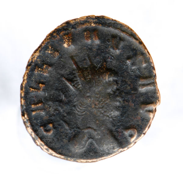 Gallienus'-Zoo