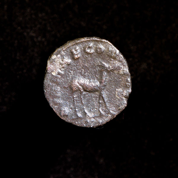 Gallienus'-Zoo