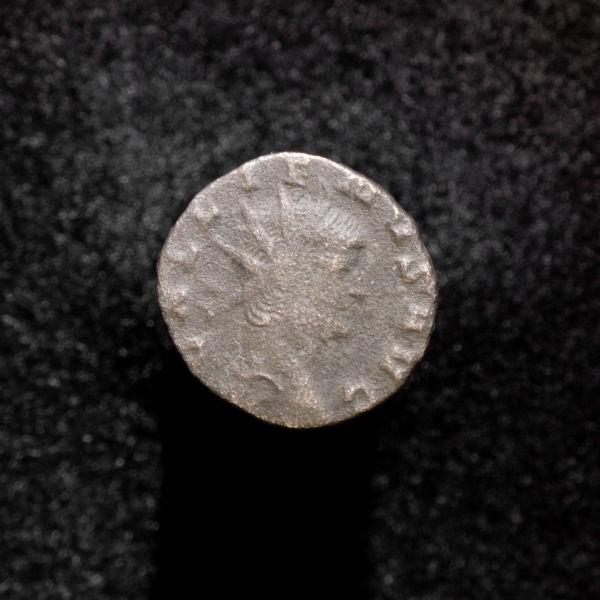 Gallienus'-Zoo