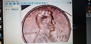 New-To-Coin-Collecting-And-I-Find-It-Interestingly-Addicting.