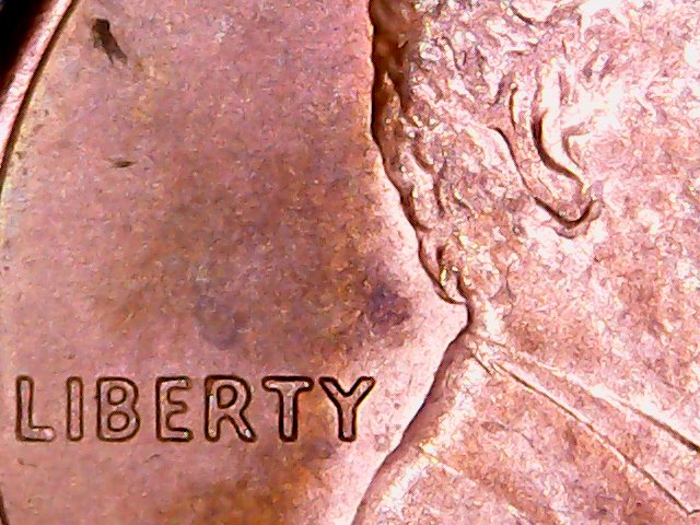 1988-D-LMC--Doubled-Earlobe