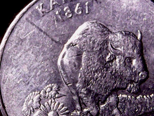 2005-Gw-Qtr-Speared-Buffalo-Die-Crack