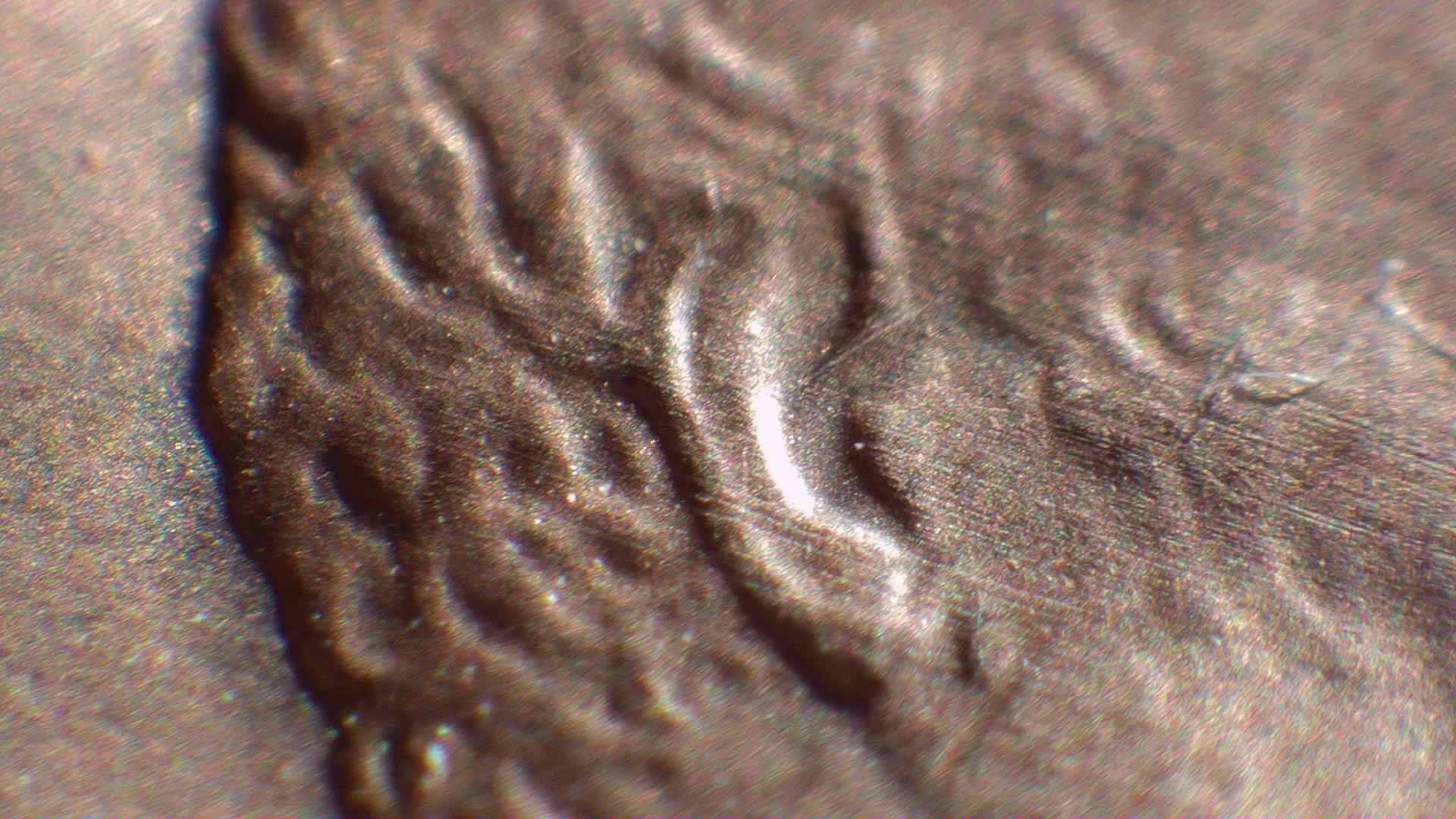 1988-LMC-DDO-Double-Earlobe