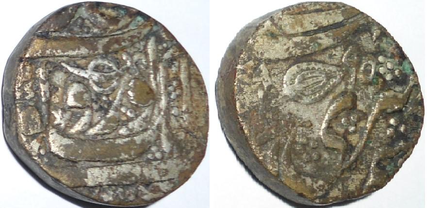 Please-Help-Identify