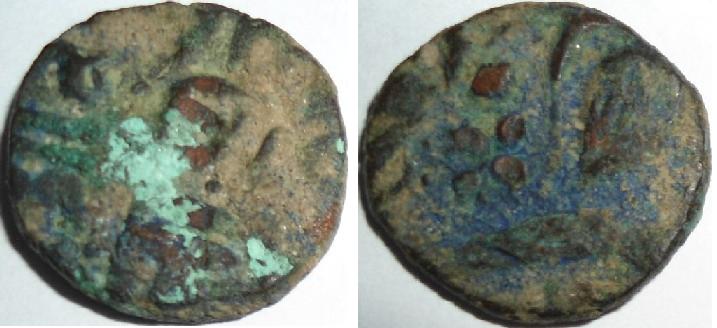 Please-Help-Identify