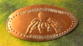 Spider-Coins?