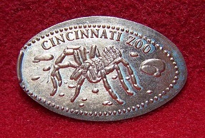 Spider-Coins?