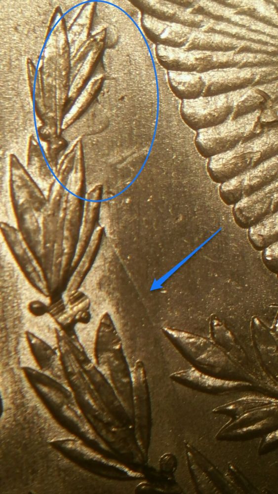 1880-Morgan-VAM,-DDR-Questions-Help