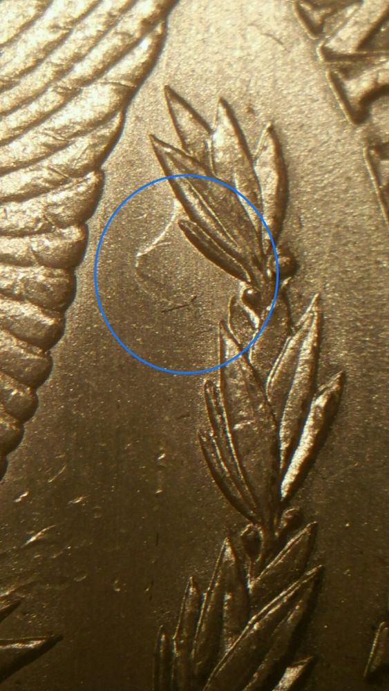 1880-Morgan-VAM,-DDR-Questions-Help