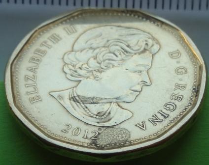 2012---New-Regular-Loonie---Strange-Surface-Condition