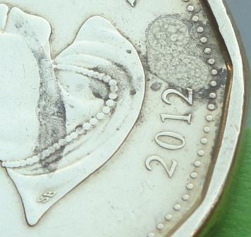 2012---New-Regular-Loonie---Strange-Surface-Condition