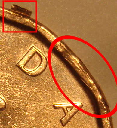 2010-Loonie---Bubble---Peeling-Metal---Is-It-Worth-Any?